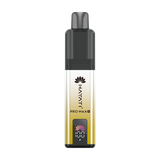 Hayati Pro Max Plus 6000 Puffs