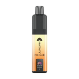 Hayati Pro Max Plus 6000 Puffs